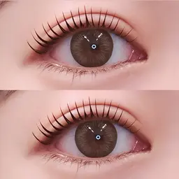 ✨️🇰🇷韓国人気のマスカラパーマ🇰🇷✨️【ブラックティント,コーティング付き】パリジェンヌorラッシュリフト🤍