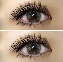 【人気No.3】3Dボリュームラッシュ240本(80束)付け出しのみ