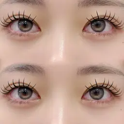 【パリエク🪄】パリジェンヌ+バインドロック40束(シングル80本前後くらいの濃さ)