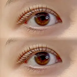 ラッシュリフト上下セット