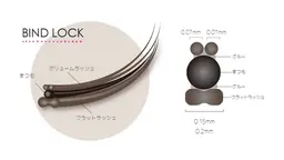 【オフ込/コーティング剤付】最新技術バインドロック 80束¥7000🫧100束¥8000