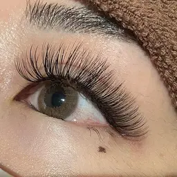 🍁限定🤎ボリュームラッシュ80束(リペア〇