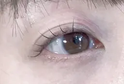 ☁️ྀིメーテルロッド 使用 流し目 only  まつ毛パーマ上🪽ྀི