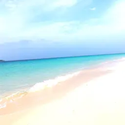 レディース部分脱毛1部位