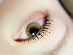 【初回】自然なカールで魅力倍増！まつ毛パーマ【上or下】上下SETは別MENUをご選択下さい