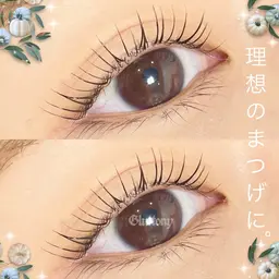 ミニモ特別セット価格🌻 デザインまつ毛パーマ+眉毛WAX【眉カット込み】💖