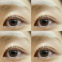 SNS話題ブラックティントマスカラパリジェンヌラッシュリフト(コーティング剤付き)