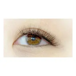 🌻LEDエクステ🌻Wラッシュ120束【オフ込】