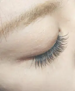 フラットラッシュ130本