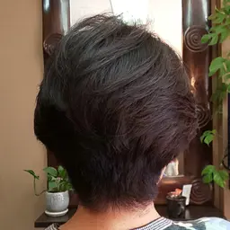 新プレミアムカット