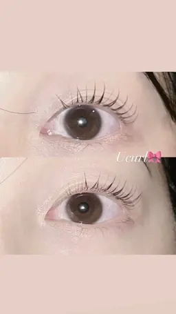 🌷まつげパーマ・ラッシュリフト🌷保湿コーティング付き🪄