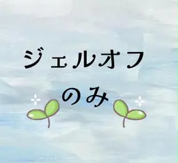 🌸ジェルオフのみ🌸
