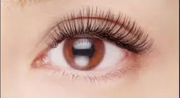 【持続力重視‼️】バインドロック60束(70束まで対応可能です🙆‍♀️)✨※詳細ご覧下さい！