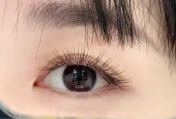 フラットラッシュ120本(オフ込み) 2980円