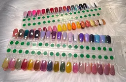 〈初回限定モデル特価〉 ハンドワンカラー オフあり