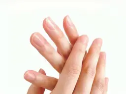 《当店》オフのみ