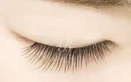 当店ご利用初回限定シングル80本オフ無料