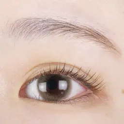 【ラッシュリフト(トリートメント込み)】上のみ