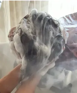 クレンジングヘッドスパ🌿　※追記欄をお読みください。