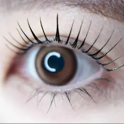 【話題のマスカラパーマ】韓国発◎ブラックティントパーマ◎アイシャンプー付き