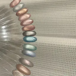 ✔️初回オフ無料大人気!!マグネットワンカラー パラジェル変更+¥700