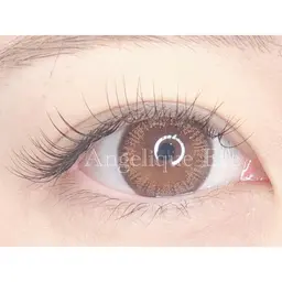 最高級セーブル🫧１２０本まで🫧