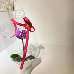 贅沢ハンドケアコース