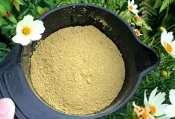 【天然オーガニック100%使用】ヘナカラー(髪質改善としても効果的⭐︎)   ※カット追加可能