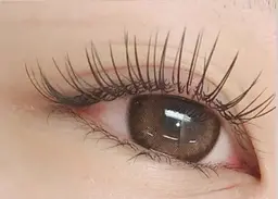 【モデル】ボリュームフラットラッシュ100本