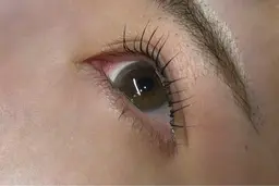 🔰2/17 9:00~11:00~限定🦋シングルラッシュ 20本～120本まで