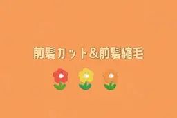 前髪の縮毛矯正(前髪カット込)