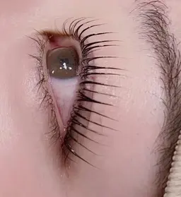 【🎊大人気☆新規限定🎊】パリジェンヌラッシュリフト上のみ🌸コーティング付き🌸