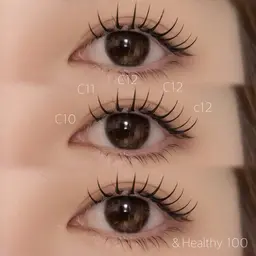 フラットラッシュ100本+アンドヘルシー(オフ無料)