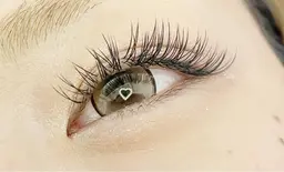 フラットラッシュ100本