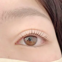 【10分前来店必須】12/23日来店限定⭐︎ラッシュリフト （デザイン３種類から選べます※パリ含む）