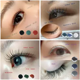 年内限定🉐フラット冬カラー◆上120本※ご新規様オフ無料