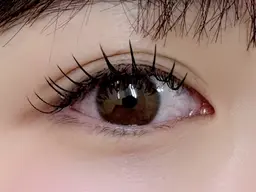 フラットラッシュ（上）100本オフ込み🐧コーティング付き🪄