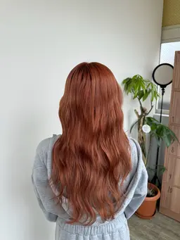 ダブルカラー➕システムトリートメント