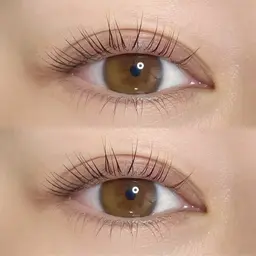 ラッシュリフト(下)🪄アイシャンプー付き