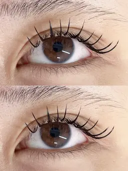 ダブルフラットラッシュ80束 🦋(160本)オフ込み