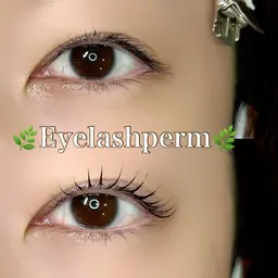 🫧🎀 ᩚ《プレミアム》潤いまつ毛パーマ🎀 ᩚ🫧