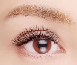 ご新規様特別価格✴︎フラットマットラッシュ　つけ放題（90分）