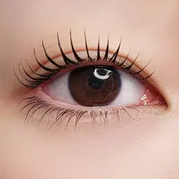 自まつ毛が多く長い方撮影モデル📸眉WAX＆まつ毛パーマのset