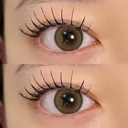 🌱フラットラッシュ120本🌱 ͛.*「LED +¥1000」