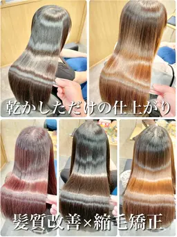 1月平日限定【50%OFF Googleの口コミ投稿してくれるロングの方】美髪矯正＋トリミングカット