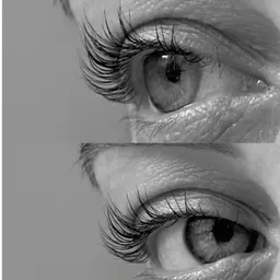 ▶️ 𝐅𝐥𝐚𝐭 𝐥𝐚𝐬𝐡 𝟏𝟎𝟎本🛁⋆˚🪽 #フラットラッシュ🎶