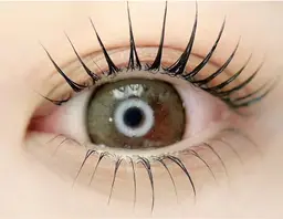 上下まつ毛パーマ🖤🎀