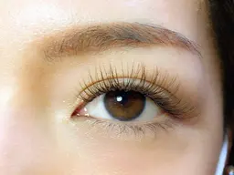 パリエク✨フラットラッシュ