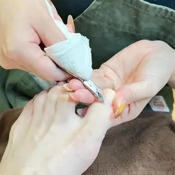 スペシャルフットケア(整爪+甘皮お手入れ+角質除去+スクラブ+フットマッサージ+クリアトップコート+爪美容液+保湿)