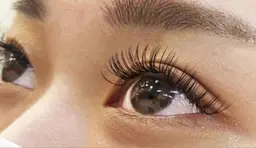 【12月限定★】バインドロック80束(240本) オフ・コーティング込￥5800